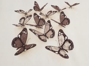 Butterflies 3D 2