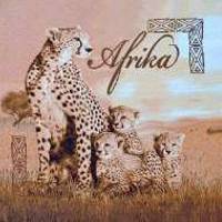 Afrika Cheetah