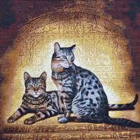 Egypt Cats